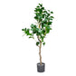 Kayra Decor 4 Feet Magnolia Tree -Artificial Plants with Pot for Home Decor Big Size