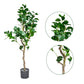 Kayra Decor 4 Feet Magnolia Tree -Artificial Plants with Pot for Home Decor Big Size