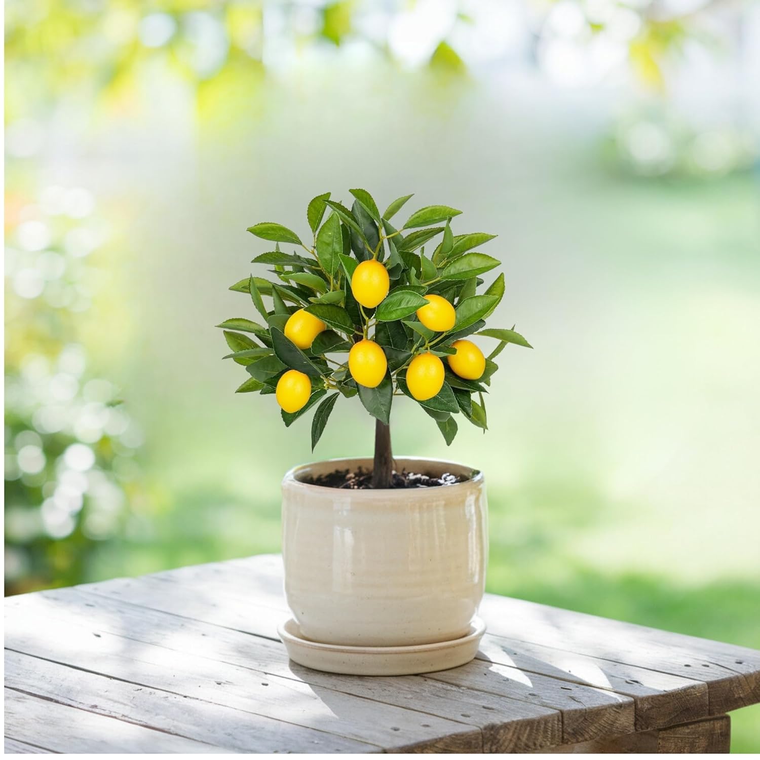 lemon planter pot Artificial 1.5 Feet Lemon Plant with Pot for Home Office
