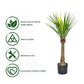 Artificial Cactus Plant - Artificial Plants for Home Decor with Black Pot (Green, 1 Piece) - 3 Feet