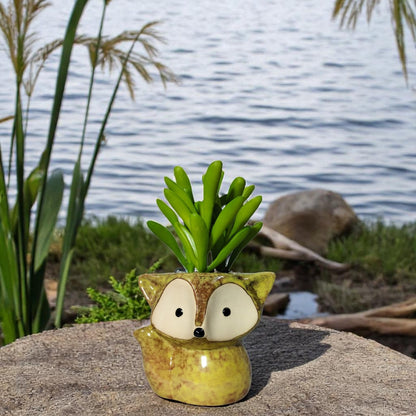 plants for home artificial