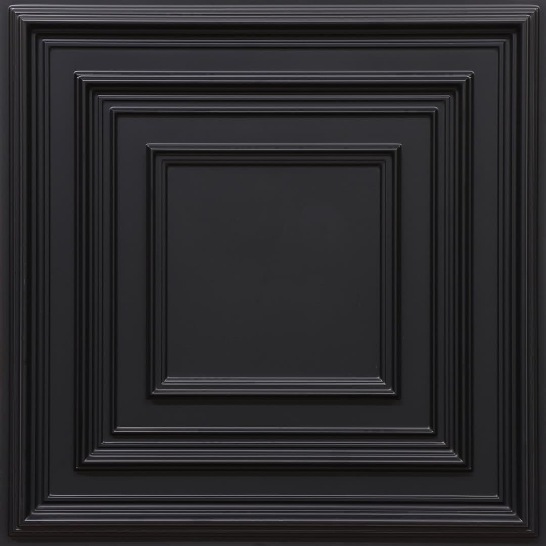 Black Color Accent Design PVC Ceiling Panel
