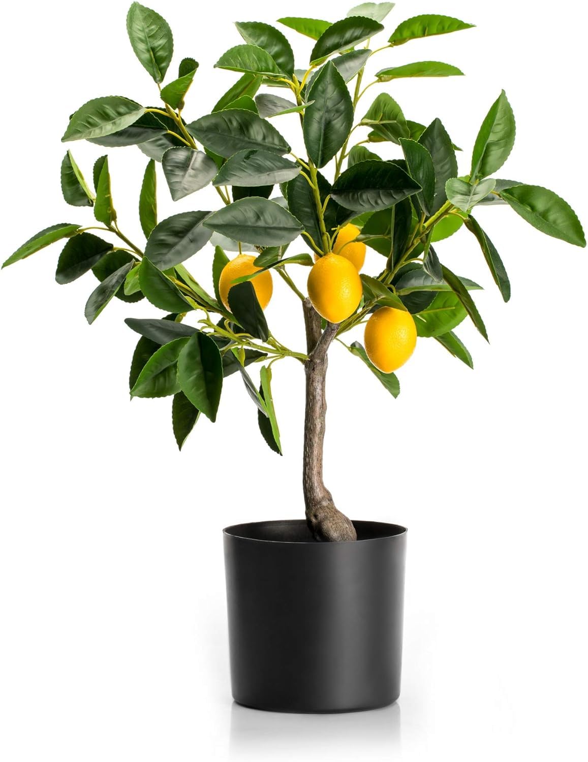 Lemon Tree 41 cm- Bonsai Tree Indoor with Pot Home Decor