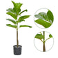 Artificial 2.5 Feet Fiddle Leaf Fig Plant for Home Decor