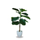 artificial plants big size