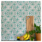 Latest Large Modern Ethnic Allover Paint Wall Stencil (KDRDSS1242)