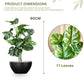 Artificial 3 Feet Monstera Plant with Pot for Home Decor