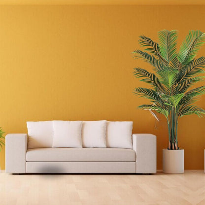 indoor big plants for home