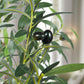 Artificial Plant 4 Feet Olive Tree | Lifelike Faux Olive Plant with Plastic Pot for Home Office