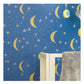 Latest Large Night Sky Moon & Stars Kids Paint Wall Stencil