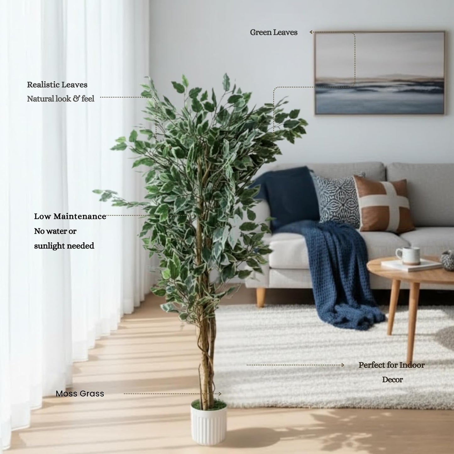 Artificial Ficus Plant Natural Wood Trunk & White-Edged Leaves with Pot