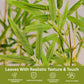 Artificial Bamboo Big Plants for Home Decor