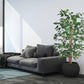 Artificial 5 Feet Ficus Tree with Pot for Home Decor