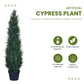 Artificial 3 Feet Cedar Cypress Tree with Pot for Home Decor