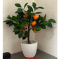 Artificial 1.5 Feet Orange Plant with Pot for Home Decor