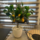 Artificial 1.5 Feet Lemon Plant with Pot for Home Office