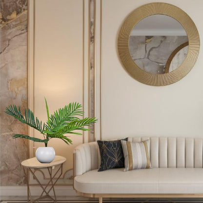 big indoor plants for home