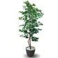 Artificial 7 Feet Ficus Tree with Pot for Home Decor