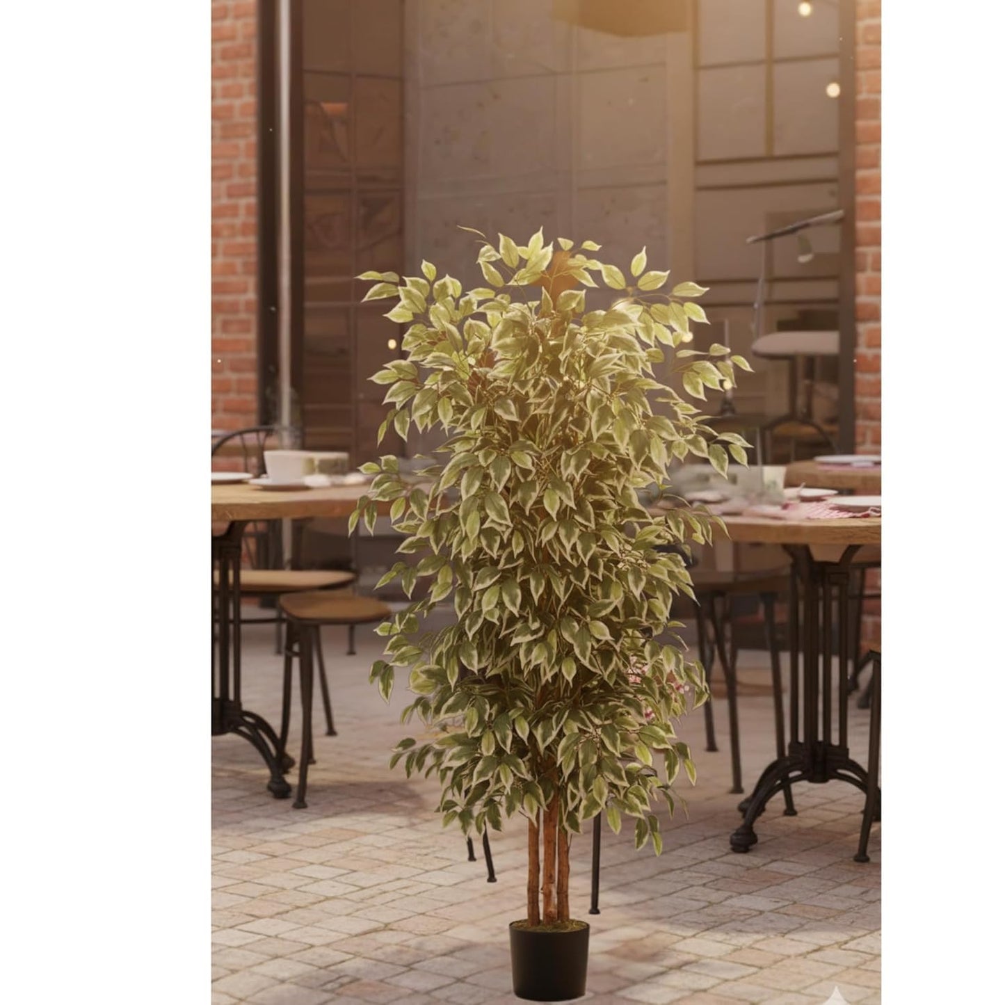 Artificial Ficus Plant Natural Wood Trunk & White-Edged Leaves with Pot