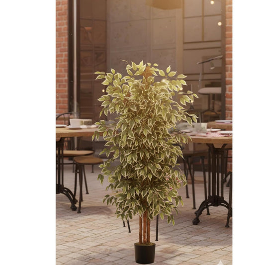 Artificial Ficus Plant Natural Wood Trunk & White-Edged Leaves with Pot