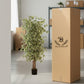 Artificial Ficus Plant Natural Wood Trunk & White-Edged Leaves with Pot