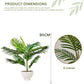 Pygmy Artificial Palm Tree for Home Decor Big Size with Pot (Plam Tree 3 Feet)