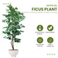 Artificial 7 Feet Ficus Tree with Pot for Home Decor