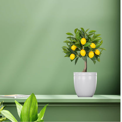 ficus plant artificial