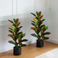 Artificial 2 Feet Croton Plant with Pot for Home Decor