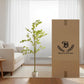 Artificial Enkianthus Tree with Pot for Home Decoration