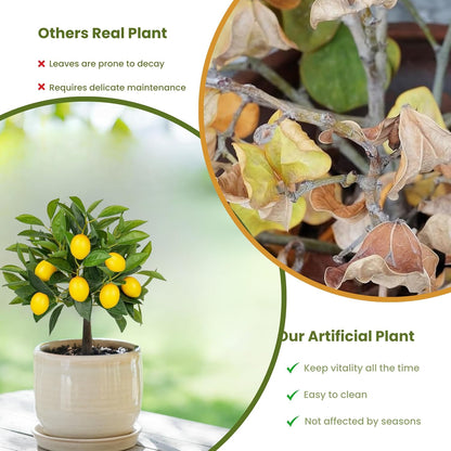 plants for home artificial