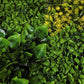 Artificial Vertical Wall Mat for Indoor & Outdoor Walls (Size 40 cm x 60 cm), yellow Green
