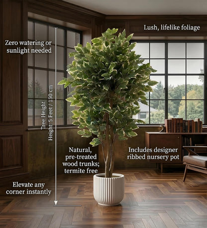 Artificial Ficus Plant Natural Wood Trunk & White-Edged Leaves with Pot