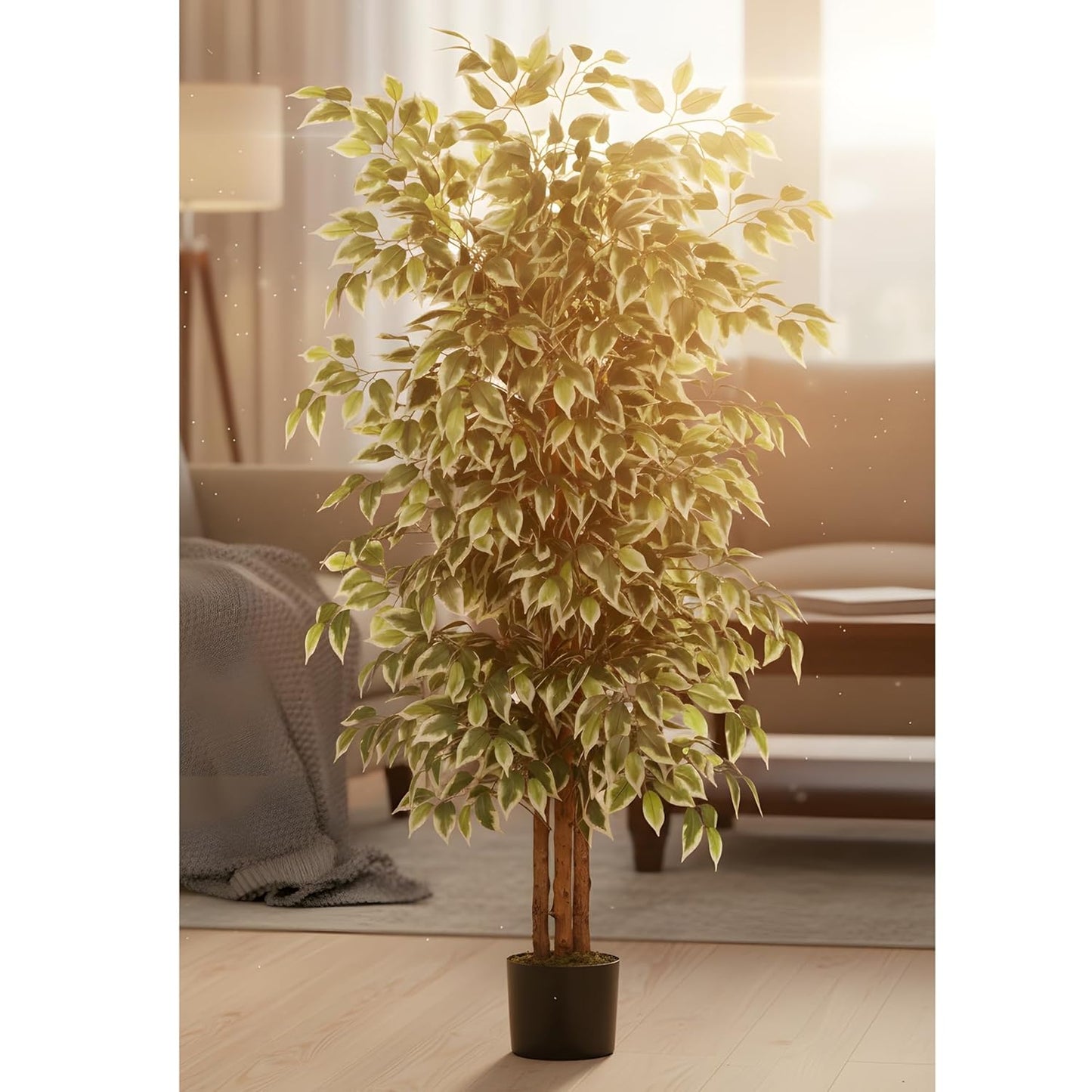 Artificial Ficus Plant Natural Wood Trunk & White-Edged Leaves with Pot