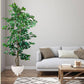 Artificial 7 Feet Ficus Tree with Pot for Home Decor