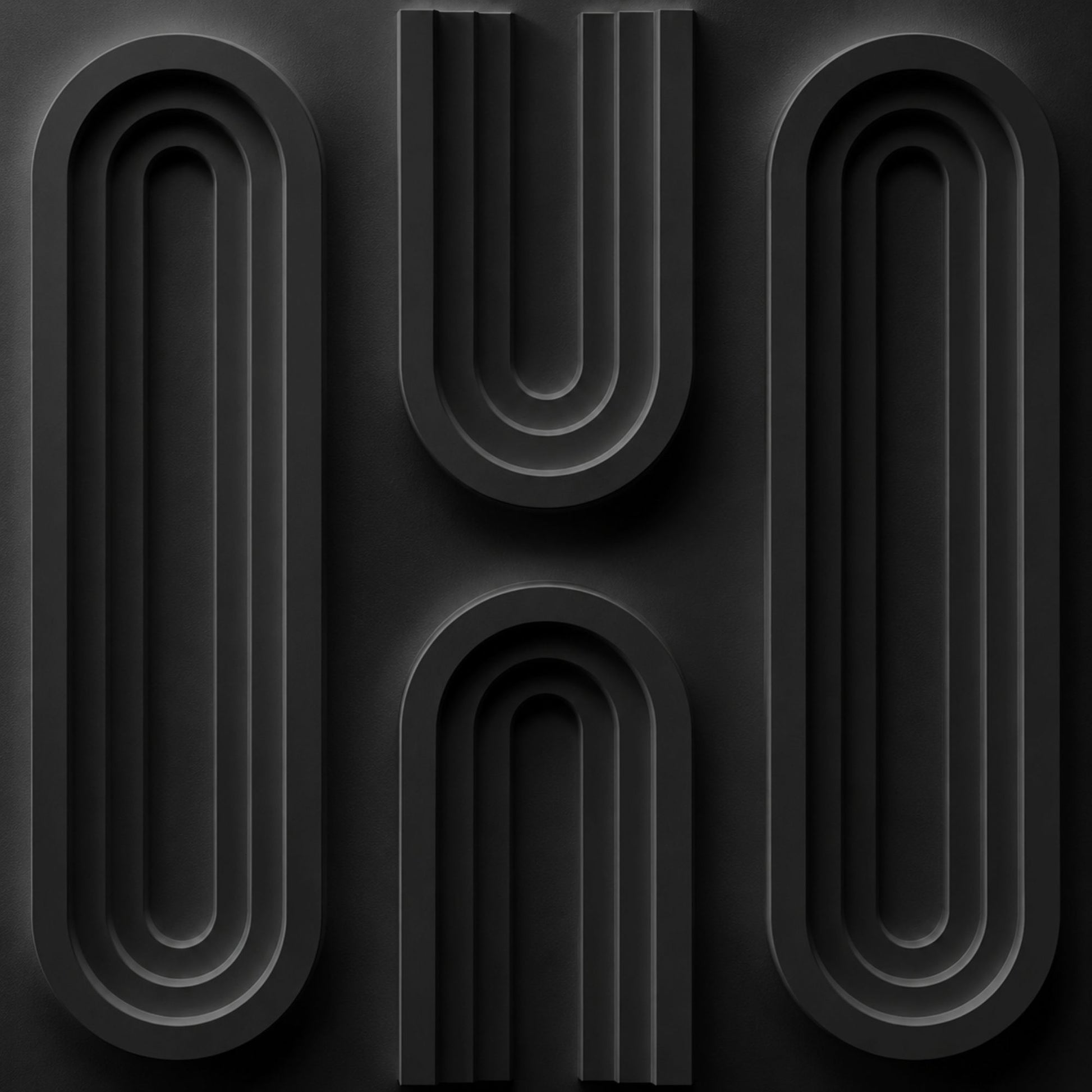 Matt Black Loops Design 3D Wall Panel