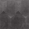 Nexa Gray