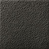 Nexa Gray