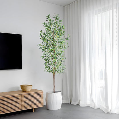 big plants for living room