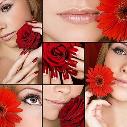 Printed Blackout Roller Blinds for Window - Red Sunflower Flower Design Size