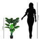Kayra Decor Monstera 3 Feet - Plastic Plant for Home Decor Big Size with Pot (Black)