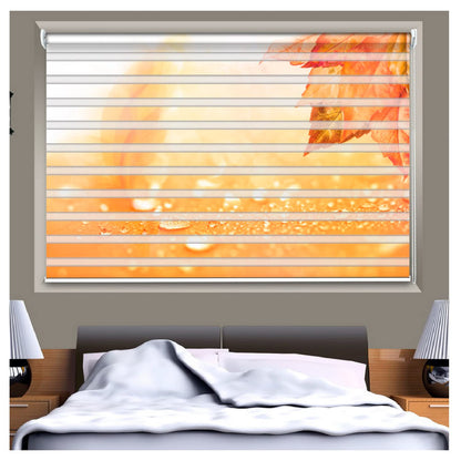 Zebra Blinds for Windows and Doors with Dual Shade, Horizontal Stripes, Blinds for Home & Office (Customized Size, Water Droplet )